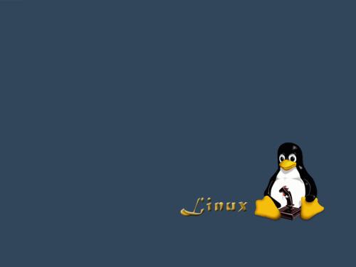 Linux通过if语句怎样能判断文件或目录是否存在的 Linux通过if语句怎样能判断文件或目录是否存在的